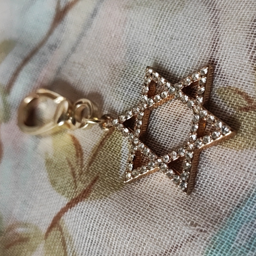 Star Of David Gold Tone Jewish Charm Purse Charm Keychain Pet Collar Charm New 10$